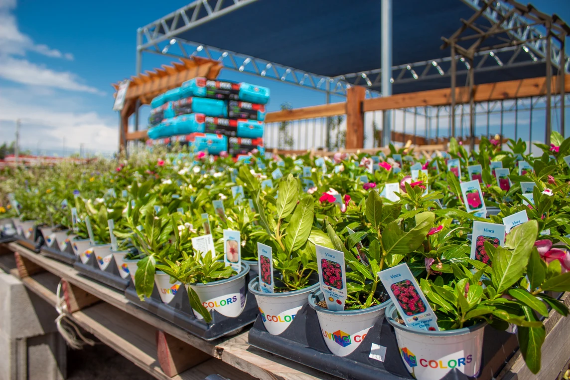 To the Stars Kansas Business Awards